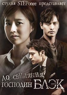 Прощайте, мистер Блэк