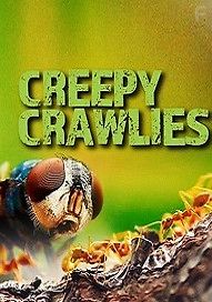 Пугающие артроподы