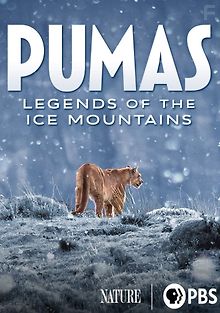 Пумы: легенды ледников