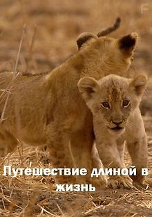 Путешествие длиной в жизнь