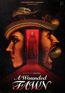 Раненый оленёнок