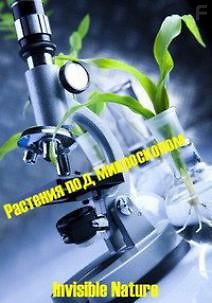 Растения под микроскопом