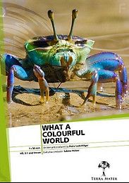 Разноцветный мир