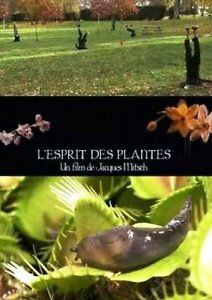 Разум растений