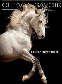 Разумное существо. Лошадь