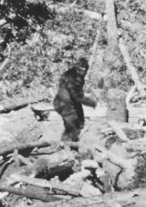 Реальность или фантастика? Снежный человек из России