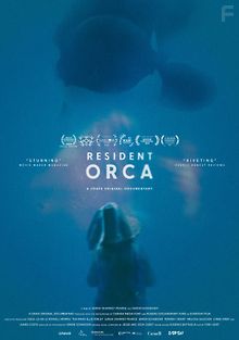 Резидентная косатка