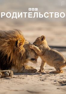 Родительство