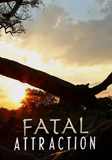 Роковое влечение