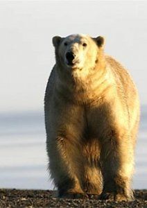 Россия от края до края. Урал