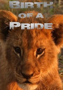 Рождение прайда