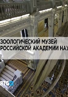 RTG. Зоологический музей Российской академии наук