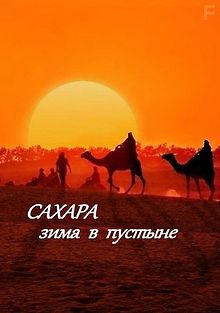 Сахара: зима в пустыне