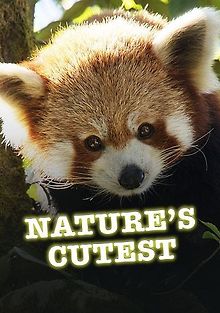 Самые милые существа