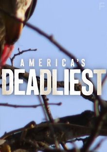 Самые опасные животные Америки