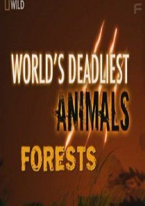 Самые опасные животные: Леса
