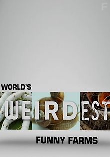 Самые странные в мире: необычные фермы