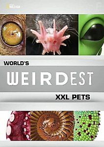 Самые странные в мире питомцы: XXL