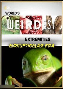 Самые странные в мире: Шокирующая еда