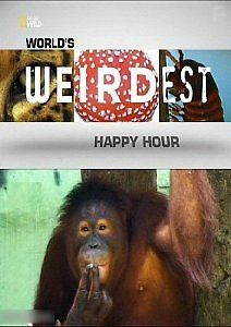 Самые странные в мире. Запреты мира животных: Под градусом