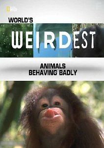 Самые странные в мире: Животные-хулиганы