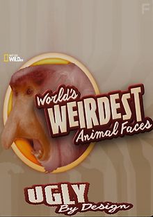 Самые странные животные в мире: Уродство - не порок