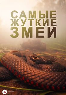 Самые жуткие змеи