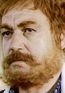 Семнадцать мгновений Ефима Копеляна