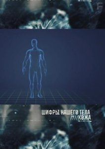 Шифры нашего тела. Кожа