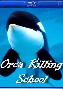 Школа охоты для косаток