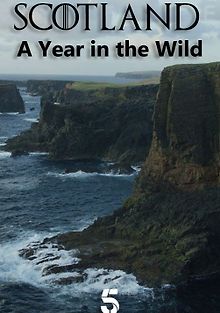 Шотландия: дикий год