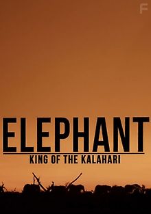 Слон: Король Калахари