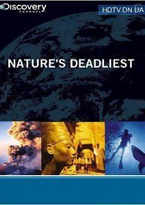 Смертельно опасные. Бразилия