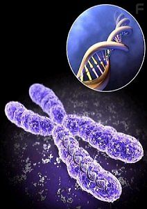 Смертельные опыты. Генетика