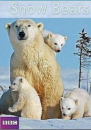 Снежные медведи