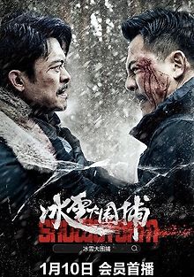 Снежный шторм