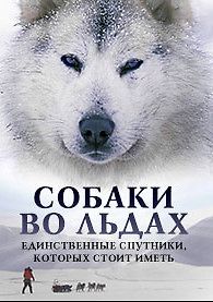 Собаки во льдах
