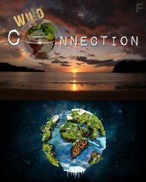 Соединяя континенты