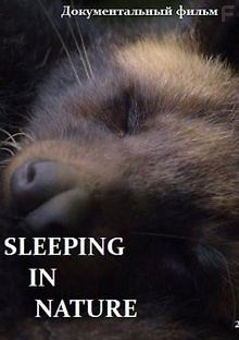 Сон в природе