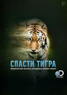 Спасти тигра