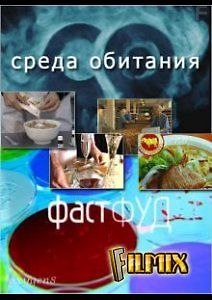 Среда обитания. Фастфуд