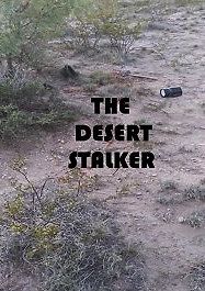 Сталкер в пустыне