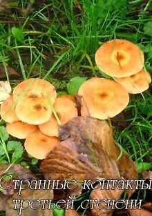 Странные контакты третьей степени