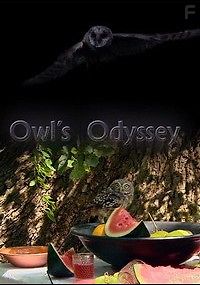 Странствия совы