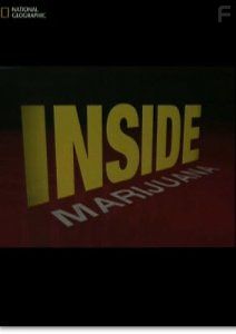 Супертрава марихуана