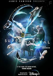 Сверх/Естественное