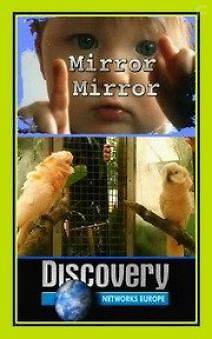 Свет мой зеркальце, скажи