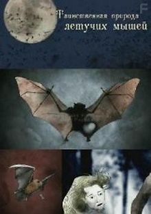 Таинственная природа летучих мышей