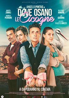 Там, где гнездятся аисты