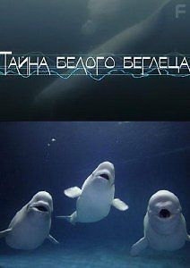 Тайна белого беглеца